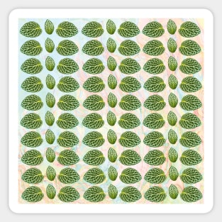 Realistic Green Leaves Pattern Sticker